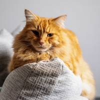 Paul PINTARD - PINTARD PHOTOGRAPHIE