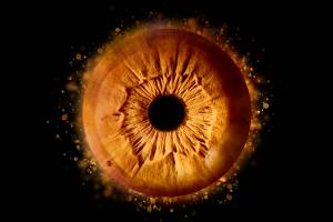 Xavier MARTINO - STUDIO MARTINO